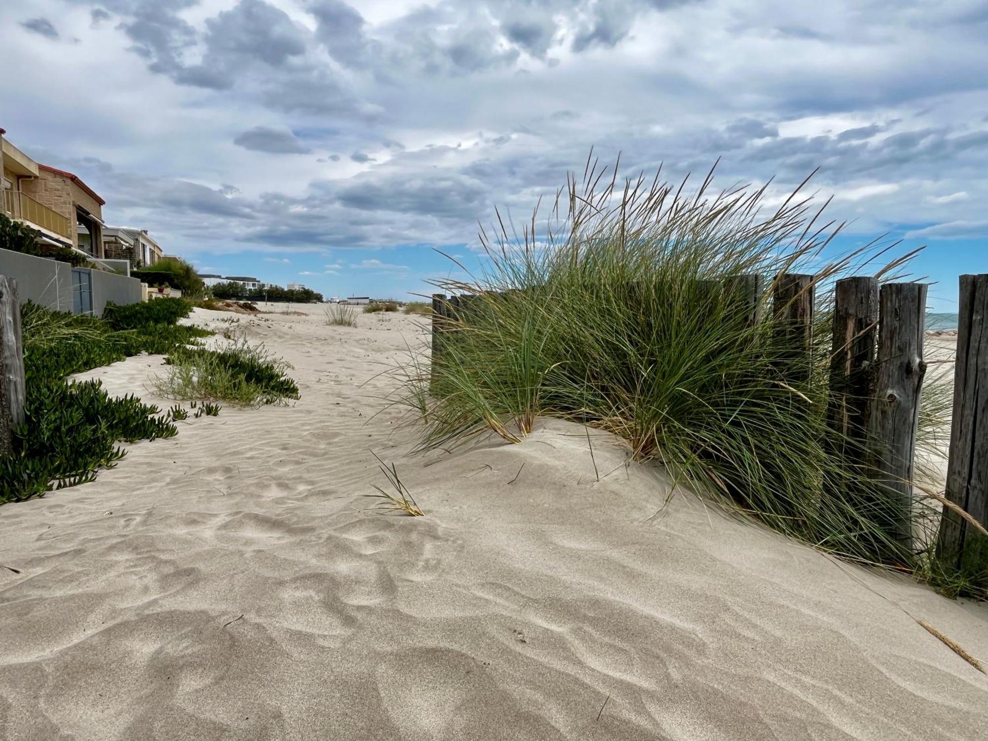 Les Sables De Palavas - T2 A 50M De La Plage - Clim, Wifi Exteriör bild